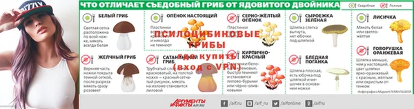 не бодяженный Алексин