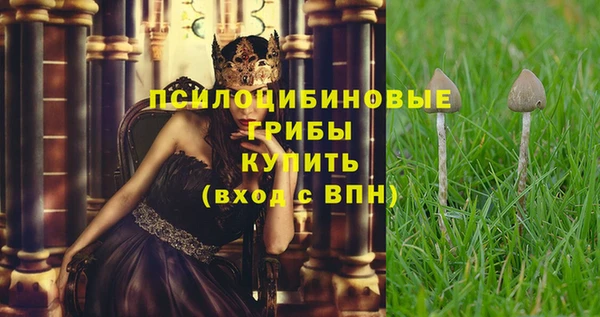 не бодяженный Алексин