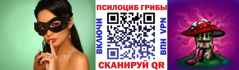 закладка OMG ССЫЛКА Псилоцибиновые грибы прущие грибы Орехово-Зуево